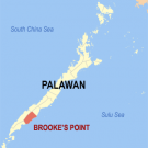 Location where Brooke's point in Palawan