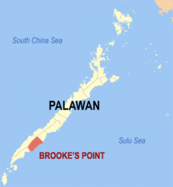 Location where Brooke's point in Palawan